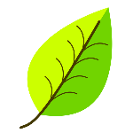 Leaf- with venation, two color.